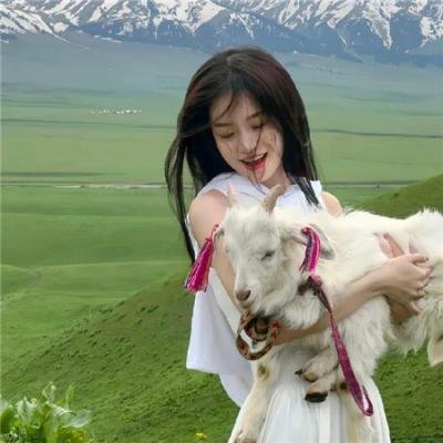 2016美国甜心 在线观看封面