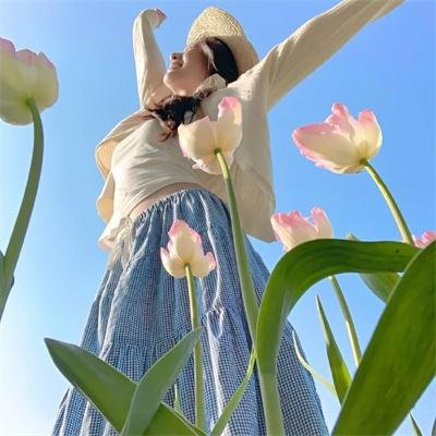 六人帮 在线观看封面